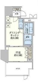 レジディア文京小石川Ⅱ 101 間取り図