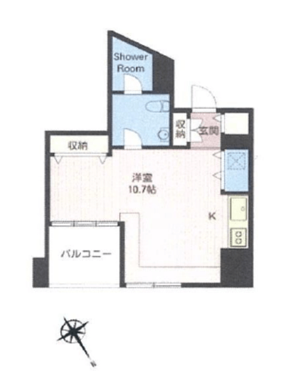 エスティメゾン麻布永坂 501 間取り図