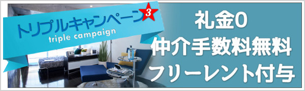 トリプルキャンペーン星3 礼金0 仲介手数料無料 フリーレント付与